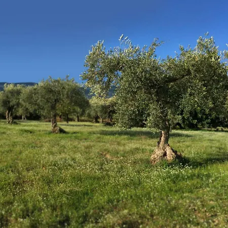 Al Corso Umberto I Πανσιόν